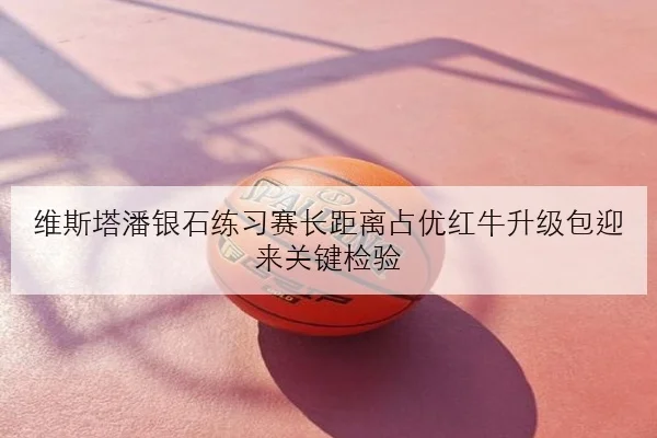 维斯塔潘银石练习赛长距离占优红牛升级包迎来关键检验