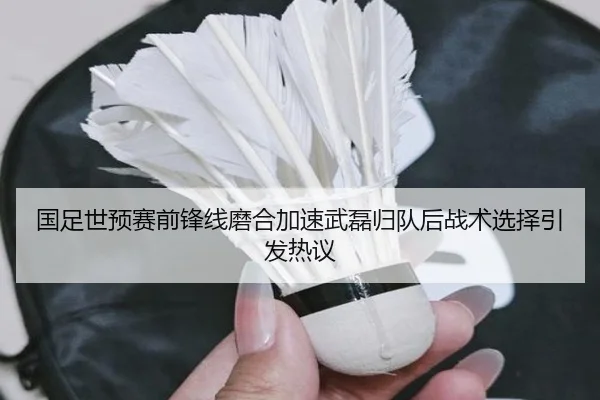 国足世预赛前锋线磨合加速武磊归队后战术选择引发热议